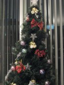 Elina Timofeyeva фотография #9 (источник - https://vk.com/id1655913)