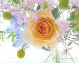 Фотография Власовой Ольги