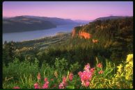 Лідуся Сушко фотография #43 (источник - https://vk.com/id82759482)