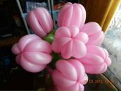 Фотография Андромеды Ольги