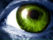 Фотография Бекешкина Николая