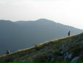 Леша Ионов фотография #48 (источник - https://vk.com/id899355)