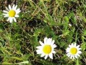 Фотография Жирихиной Татьяны