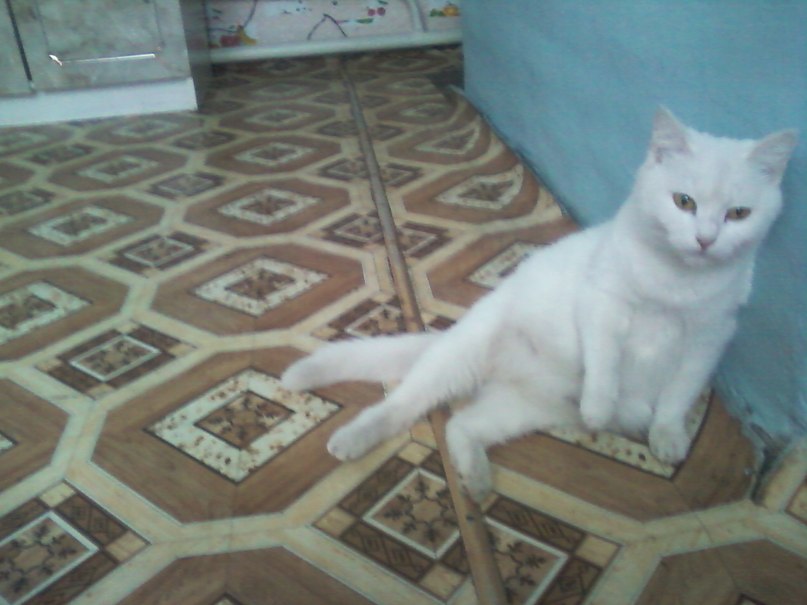 Оксана Иванова фотография #3