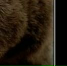 Віталій Цись фотография #47 (источник - https://vk.com/id27142199)