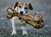 Фотография Хопряниновой Ольги