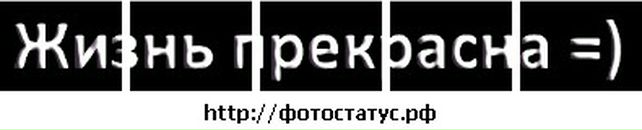 Владік Грицан фотография #14 (источник - https://vk.com/id57538925)