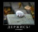 Фотография Козинской Инны