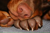 Фотография Мулюкиной Киры