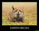 Тіна Кароль фотография #21 (источник - https://vk.com/id168345197)