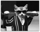 Игорь Старков фотография #22 (источник - https://vk.com/id84991284)
