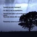 Сашунечка:) Дрозд фотография #17 (источник - https://vk.com/id83322451)