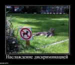 Андрій Держило фотография #25 (источник - https://vk.com/id27563819)