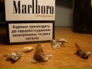 Ігор Гавриш фотография #1
