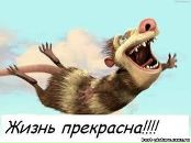 Юрій Луцюк фотография #6 (источник - https://vk.com/id9910759)