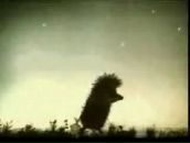 Фотография Романа Просто