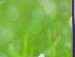 Софійка Генелюк фотография #18 (источник - https://vk.com/id129601740)