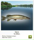 Андрій Кирилич фотография #33 (источник - https://vk.com/id72602419)