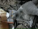 Вітуся Бондар фотография #11 (источник - https://vk.com/id105446211)