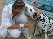 Фотография Live Smit