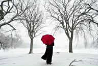 Фотография Стародубцевой Светы