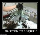 Славік Палканинець фотография #12 (источник - https://vk.com/id81011160)