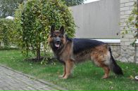 Артём Ант фотография #12 (источник - https://vk.com/id2387886)