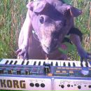 Фотография Гущиной Лены