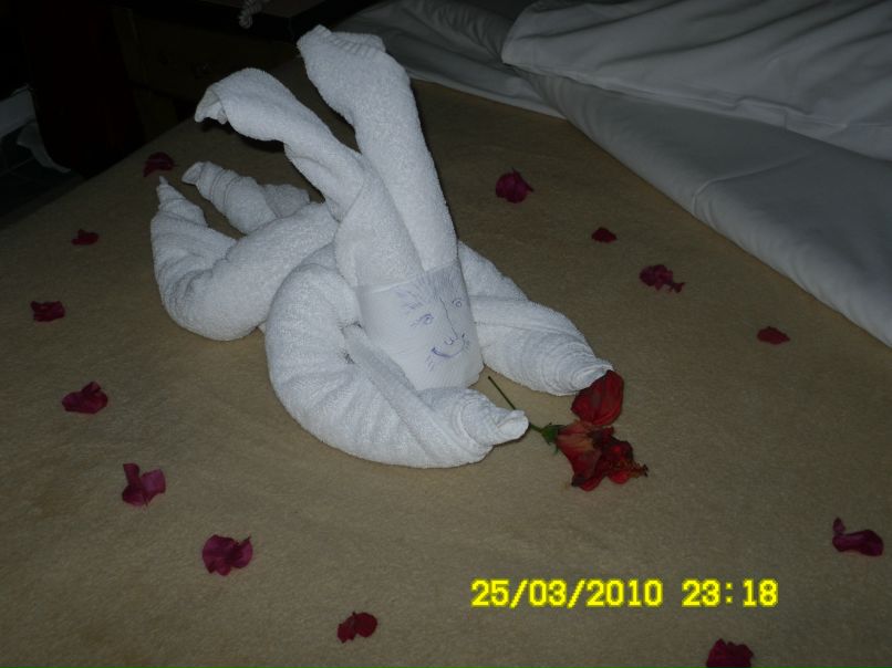 Дмитрий Николенко фотография #46