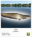 Андрій Дуда фотография #9 (источник - https://vk.com/id141602272)