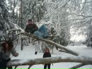 Фотография Богданова Игоря