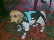 Фотография  