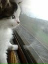 Иван Делов фотография #15 (источник - https://vk.com/id4538633)