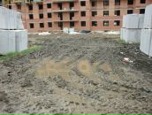 Дмитрий Челокьян фотография #27 (источник - https://vk.com/id10055984)