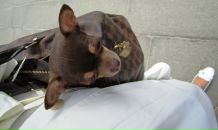 Фотография Сергеевой Кати