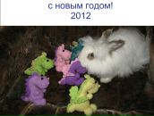 Фотография Михайлович Екатерины