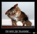 Фотография Антипина Павла