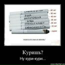 Рамиля Полат фотография #7 (источник - https://vk.com/id109157522)