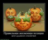 Анна Матвеенко фотография #36 (источник - https://vk.com/id536629)