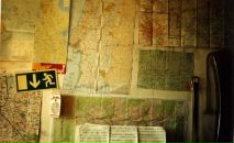 Галка Медалье фотография #11 (источник - https://vk.com/id302008)