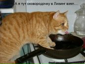 Фотография Волковой Алёны