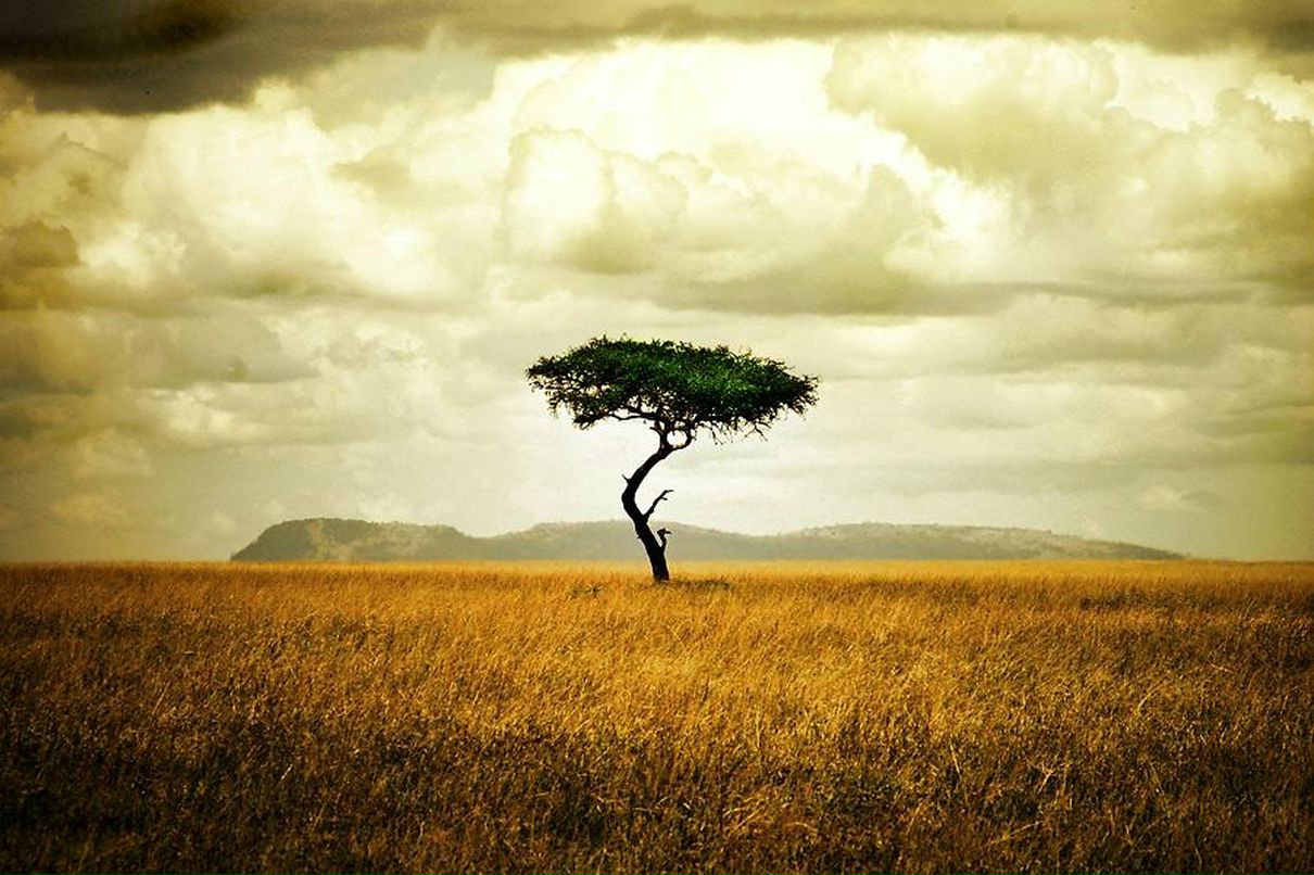 Дмитрий Кулаков фотография #34