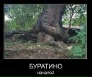Діма Долинський фотография #18 (источник - https://vk.com/id109326800)