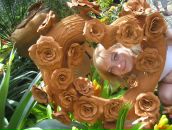 Фотография Григорьевны Леси