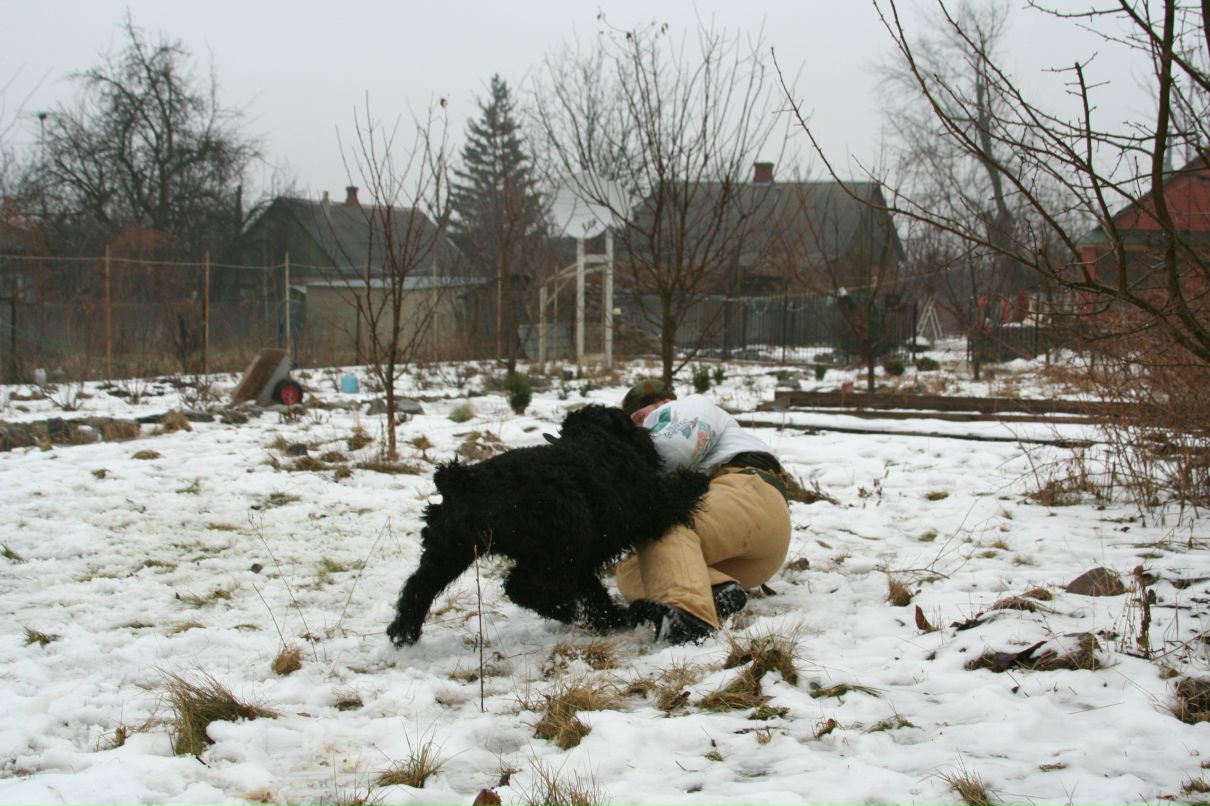 Сергей Пересунчак фотография #19