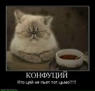 Николай Бердников фотография #9 (источник - https://vk.com/id1941204)