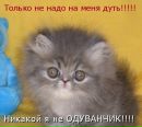 Зоряна Стахів фотография #44 (источник - https://vk.com/id165960394)