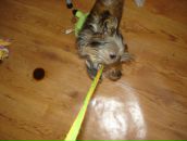 Иван Андреев фотография #33 (источник - https://vk.com/id2534545)