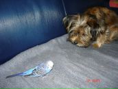 Иван Андреев фотография #27 (источник - https://vk.com/id2534545)