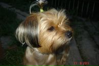 Иван Андреев фотография #5 (источник - https://vk.com/id2534545)